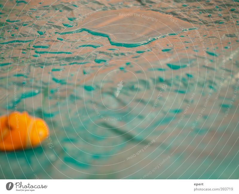 The day Nemo couldn't find his way back to the sea. Playing Summer Toys Water Swimming & Bathing Wet Joy Comic Colour photo Close-up Shallow depth of field