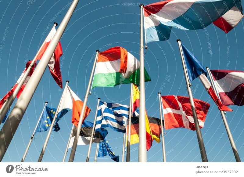 EU flag Flags flagpole Europe International Politics and state Ensign Blow Attachment fellowship Germany Italy Denmark France Poland Greece European flag
