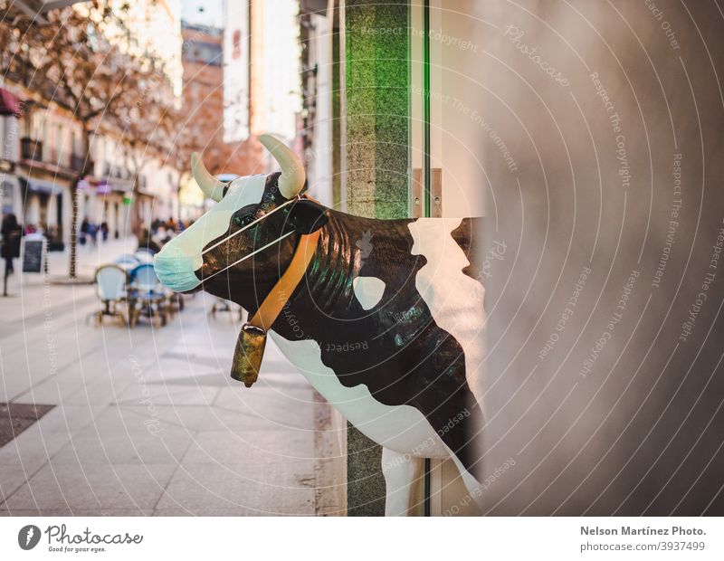Funny cow wearing a mask in the entrance of a local. Covid 19 prevention. Covid-19 coronavirus epidemic Prevention Protection Safe Safety health infection