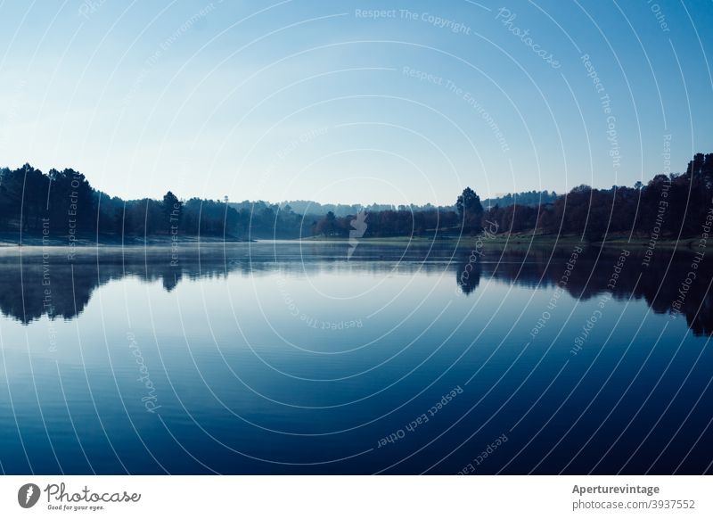lake mirror water blue symetry trees clean meditation mindfulness Yoga