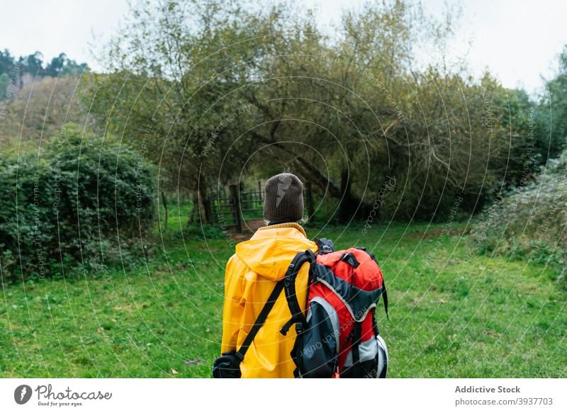 Traveler with backpack in forest on overcast day traveler meadow yellow raincoat autumn adventure outerwear nature asturias spain green woods wanderlust