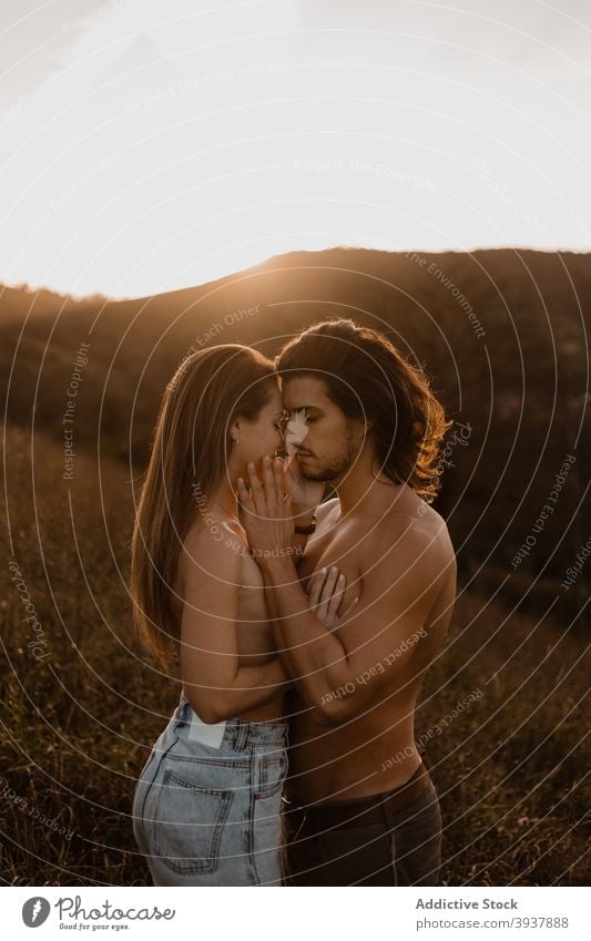 Couple with naked torsos hugging in field couple embrace sunset together love lift relationship boyfriend topless foreplay girlfriend shirtless tender fondness