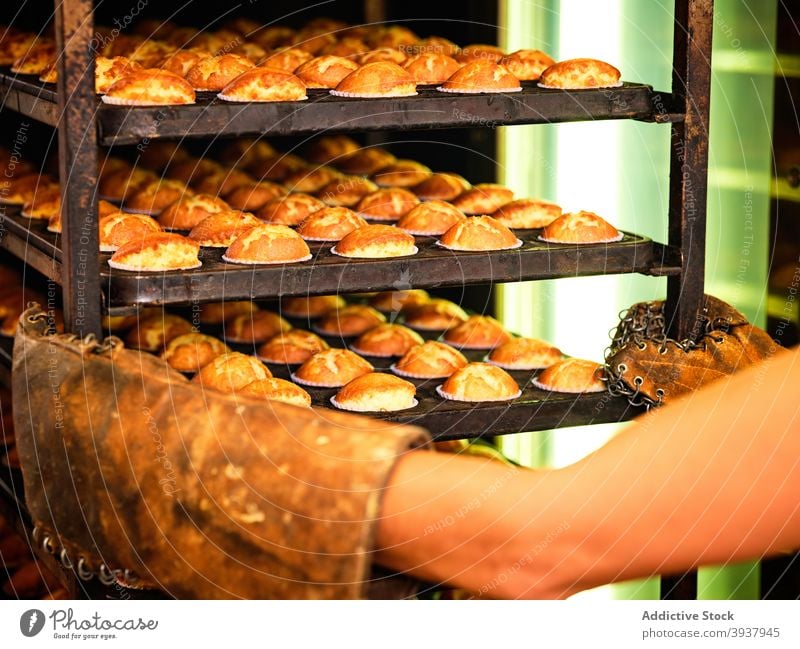 Baker carrying rack with fresh pastry bakery muffin industry baked professional food production work small business occupation prepare hot process manufacture