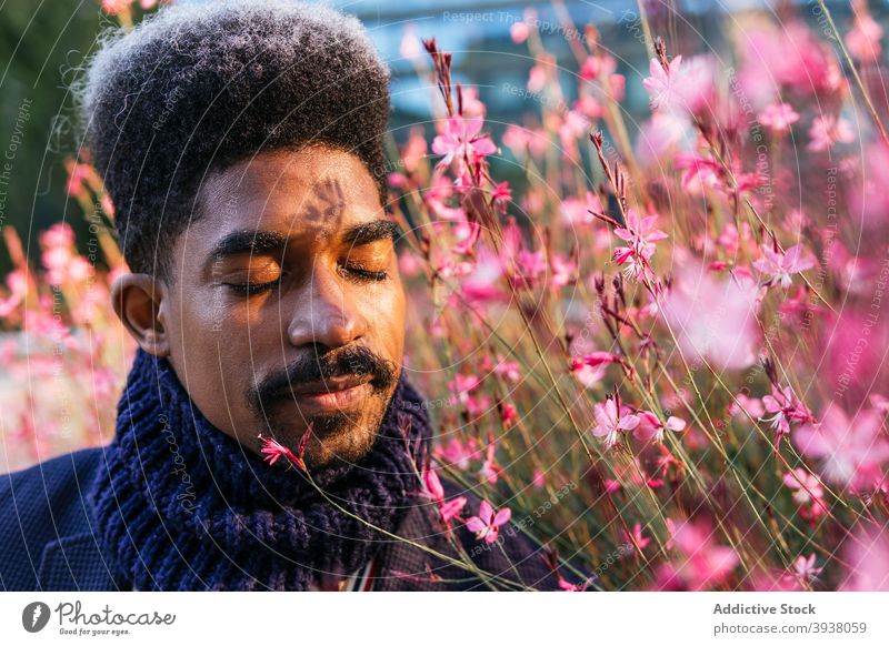 Black man enjoying smell of flowers in urban park sniff aroma bloom fragrant aromatic male ethnic black african american city carefree flora floral fresh pink