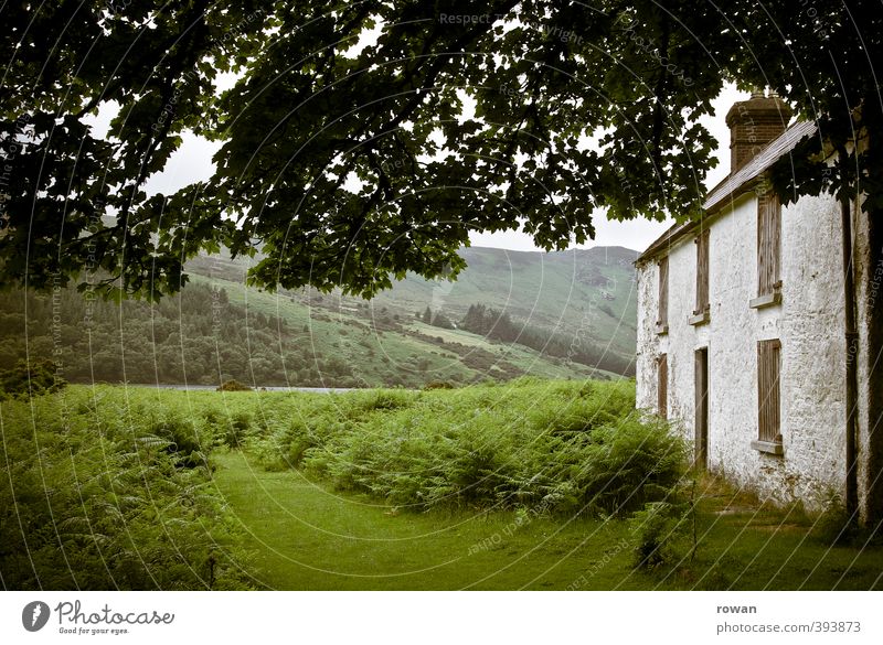 irish cottage Environment Nature Landscape Tree Grass Bushes Moss Garden Park Meadow Field Hill Mountain House (Residential Structure) Detached house Hut
