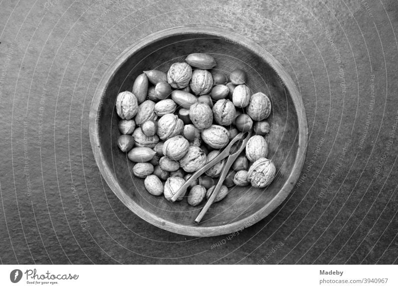 Beautiful round bowl with walnuts, hazelnuts and nutcracker on grey concrete floor in a designer apartment for advent season Nutshell Necknut Walnut Nutcrackers