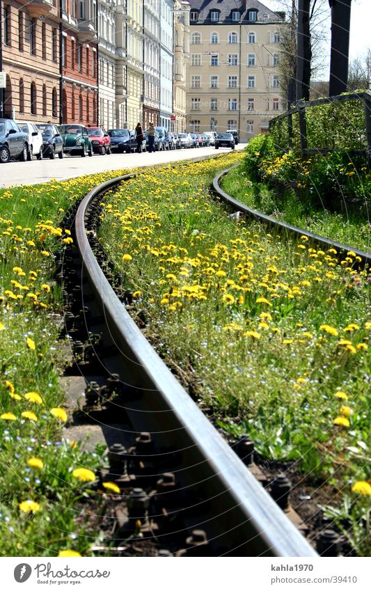 Railways to the city Railroad tracks Meadow Flower Spring Green Town Transport