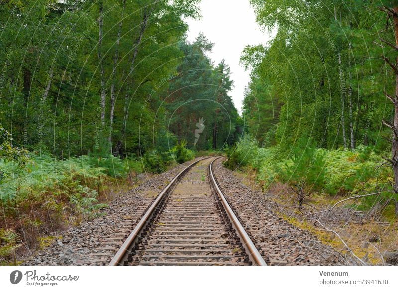 old railway track in a forest in Germany Track track bed rails railroad rail iron rust railway sleepers Forest woods tree trees