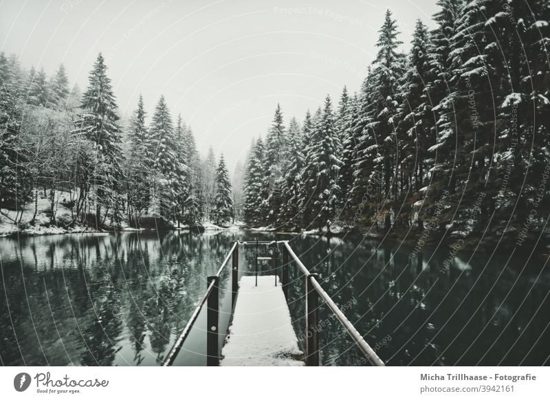 Waldsee in winter dress Pfanntalsteich oberhof Thuringia Thueringer Wald Lake Water Winter Snow Footbridge trees Forest rail Reflections Nature Landscape Idyll