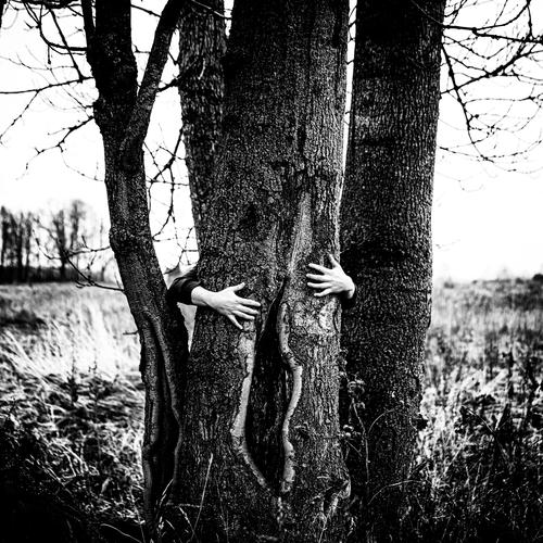 open slightly tree hands human fingers black and white monochrome sharp harsh dance Symbolism symbolic power Symbols and metaphors landscape posing no face