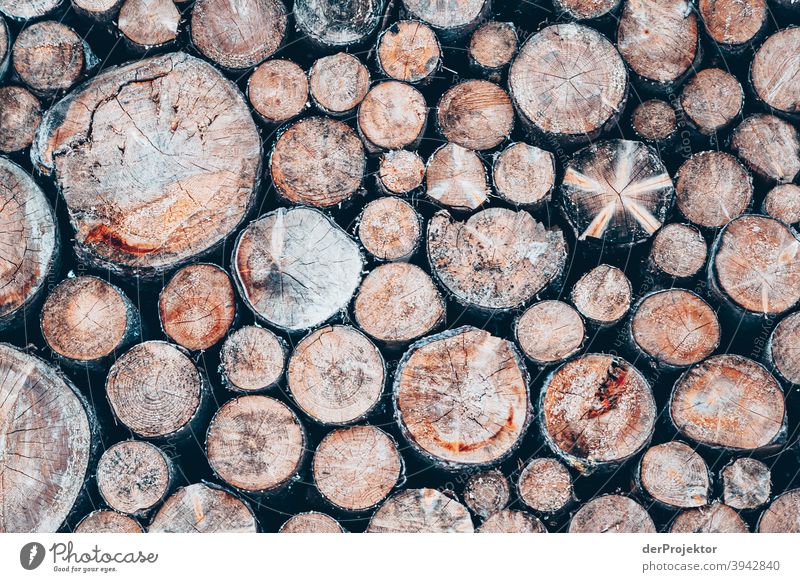 Logs/stacks in the Stubaital Winter's day Deep depth of field Contrast Shadow Light Day Copy Space top Structures and shapes Pattern Abstract Exterior shot
