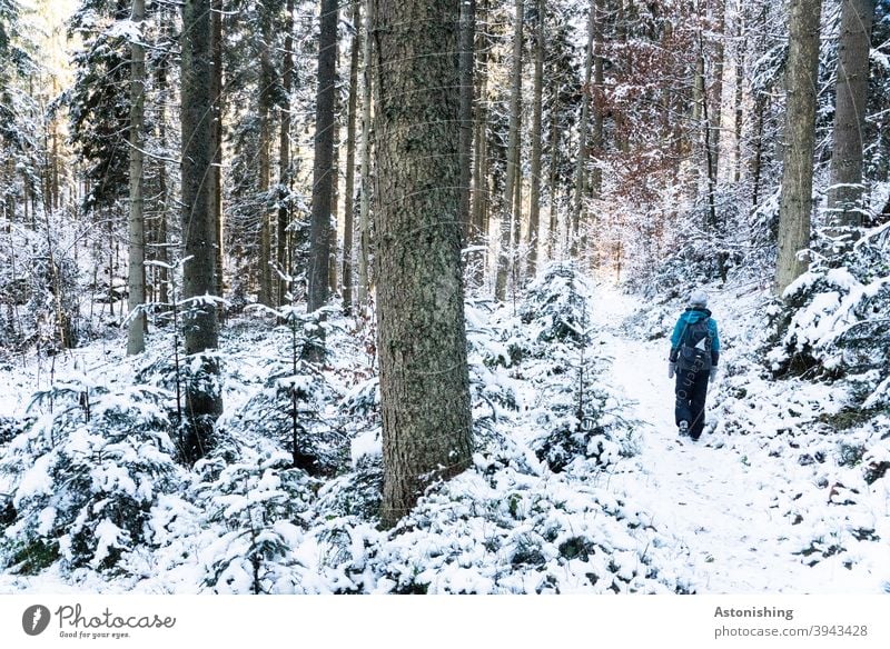 Walking in the winter forest Forest Winter Winter forest To go for a walk Hiking Going Woman Nature Landscape Snow White Tree trunk bark trees Weather Cold