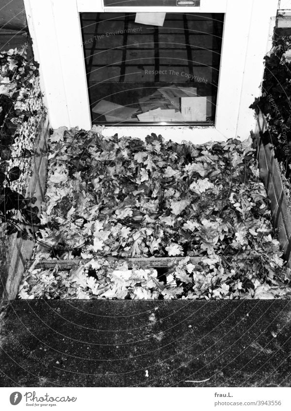 + Lonely basement apartment deceased Transience apartment door Stairs Letters House (Residential Structure) foliage Loneliness Deserted oak leaves Death