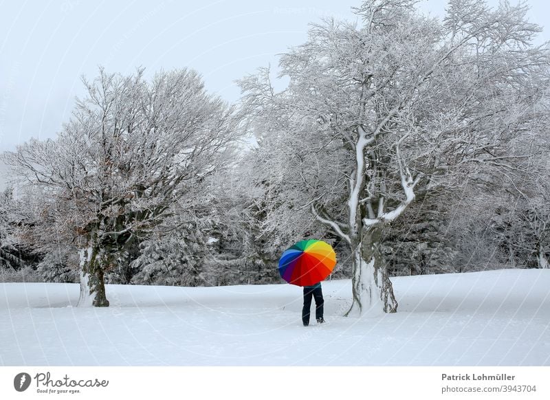 Winter coating Snow Umbrella white-cold Woman beech snow-covered Season icily variegated colourless colourful Rainbow Winter walk Art Bleak Nature Landscape