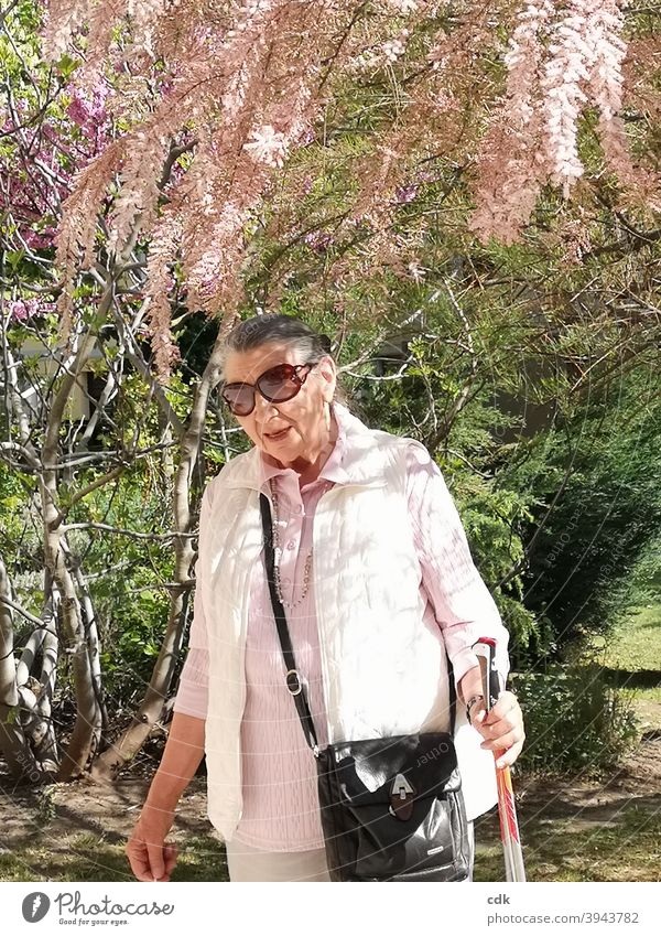 springlike | the tamarisk blossoms | a senior woman walks in the sunlight. Woman Human being Senior citizen 80+ stroll To go for a walk Sun sunshine Spring