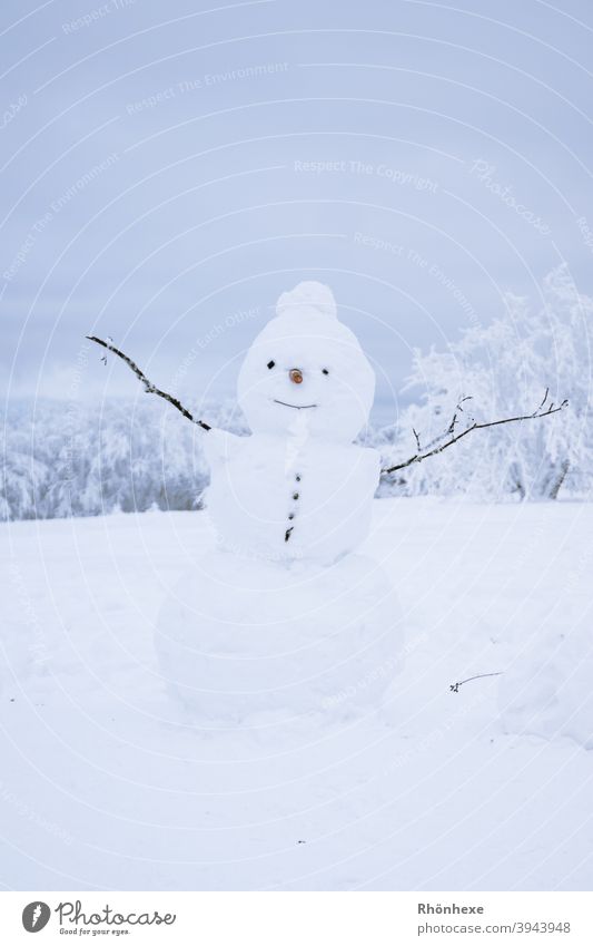 Olaf the little snowman stands on the meadow Snowman Winter Exterior shot Cold Playing White Joy Nature Seasons Smiling Infancy Happiness Snow ball Snowscape