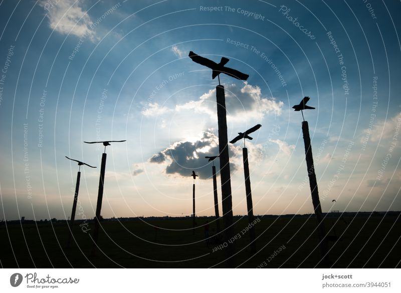 Illusion of flying birds on poles Wooden stake Multiple Sculpture Back-light Dusk Sky Clouds Silhouette Sunlight tempelhofer field Panorama (View) Eagle