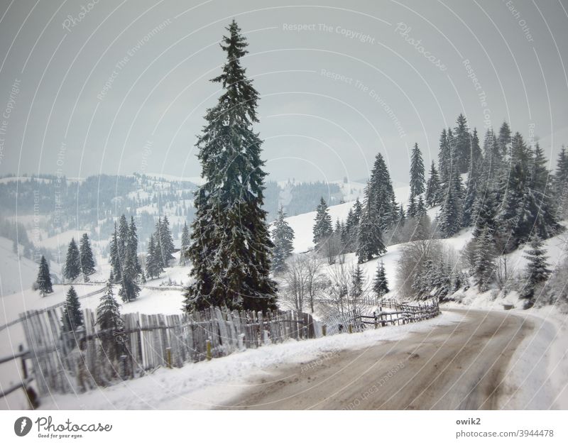 About the Carpathians Landscape Winter Horizon Nature Environment Sky Itinerary Travel photography Far-off places Mountain Idyll Pass Colour photo