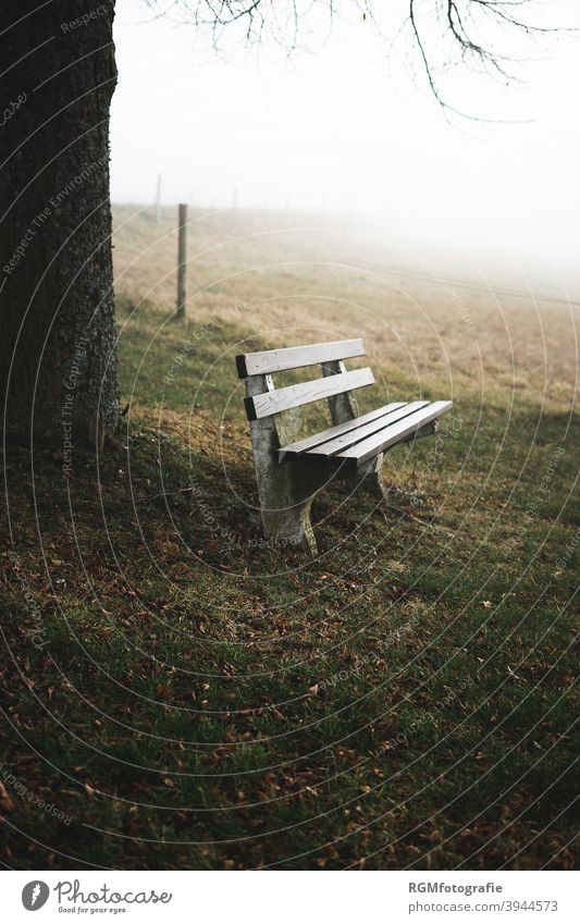 single bench next to a tree on an autumn day Bench rest tranquillity Break Fog Nature Tree Meadow Green Gray Autumn Cold forsake sb./sth. sad Grief by oneself