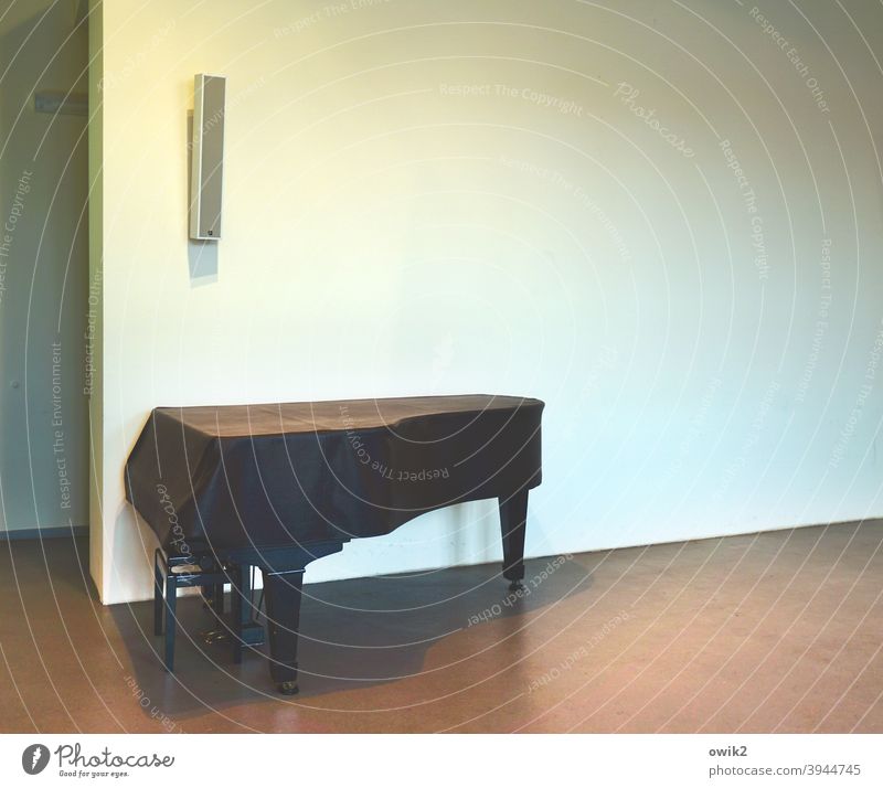 silent concert Piano Interior shot Musical instrument Keyboard instrument Leisure and hobbies Close-up Subdued colour Room Concert Hall Wall (building) floor
