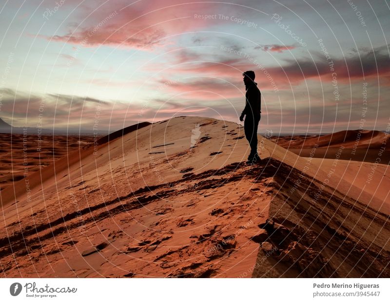Person in the Sahara Dessert sunset silhouette sahara desert sky beach dawn landscape nature sand people traveling freedom adventure person walking impressions