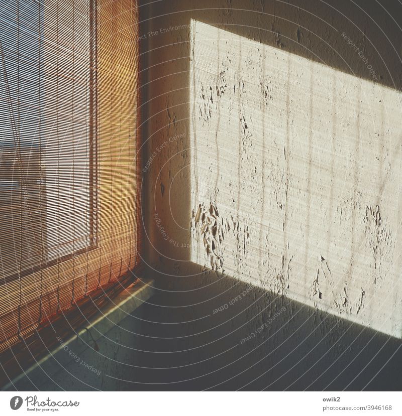 Overdrawn Wall (building) Corner Window Wall (barrier) Old Broken Redecorate Shaft of light Contrast Pattern Detail Light (Natural Phenomenon) Simple