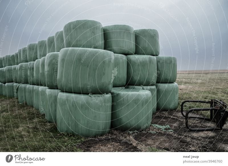 Hay bales wrapped in green foil stacked in a meadow Nature Agriculture Feed Supply Grass Green Packaged Packaging Packing film PVC Plastic plastic Exterior shot