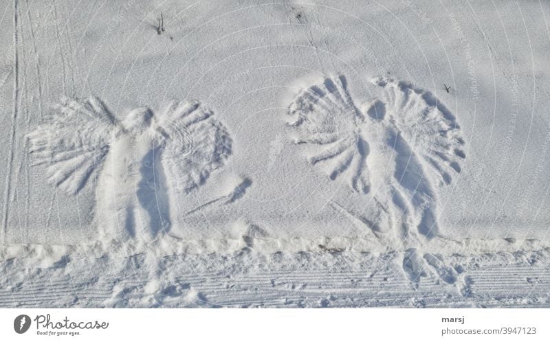 Snow Angel Snowy Gerlost Grand piano Winter White Prints story time Childhood memory Memory Infancy frisky Symmetry Snow layer Trip Movement Emotions