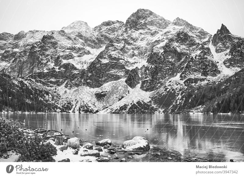 Black and white picture of frozen mountain lake. winter mountains landscape beautiful snow Morskie Oko black and white Eye of the Sea Tatra ice Tatry