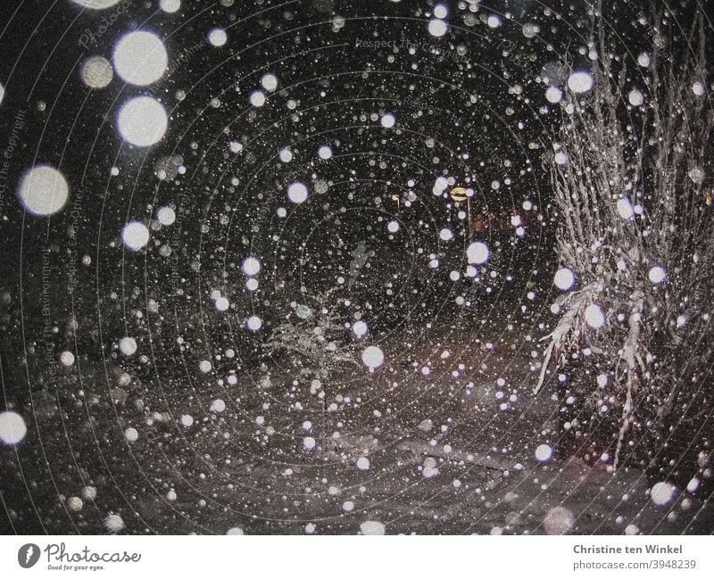 Snow flurries in the night with flashed thick snowflakes snow flurries Snowfall White dark darkness Night Night shot Flash photo Winter snowy Cold Exterior shot