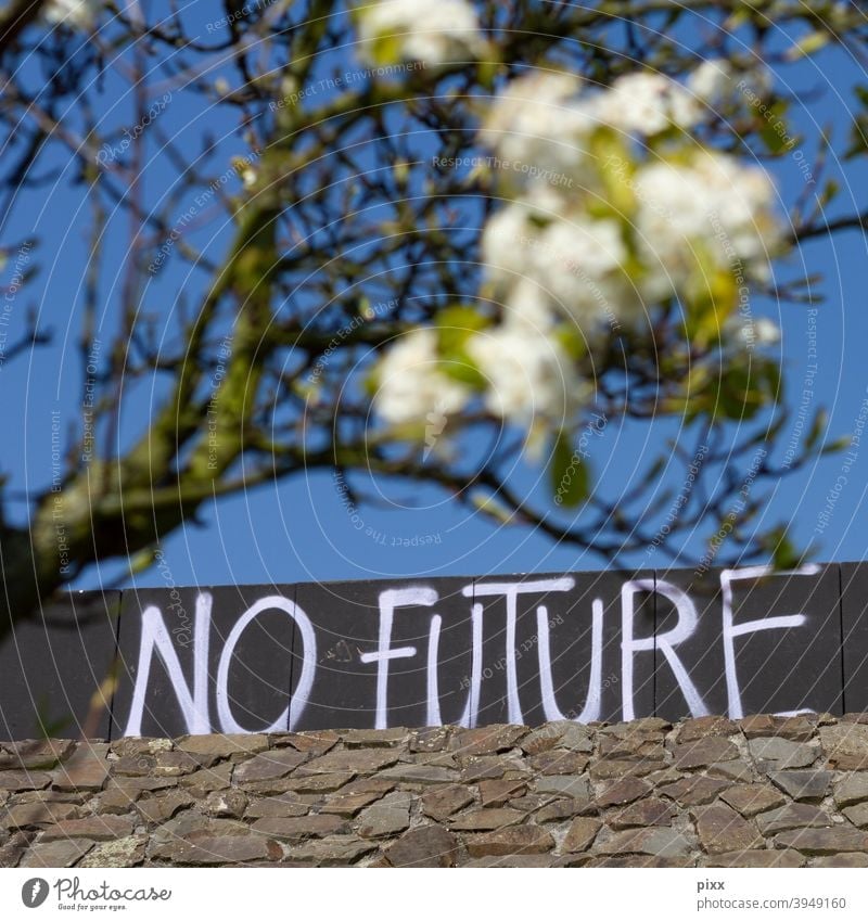 No Future antagonism future Fear of the future Blossom Flower magic blossom Tree Summer Spring Sky Cloudless sky Wall (barrier) blurred Depth of field graffiti