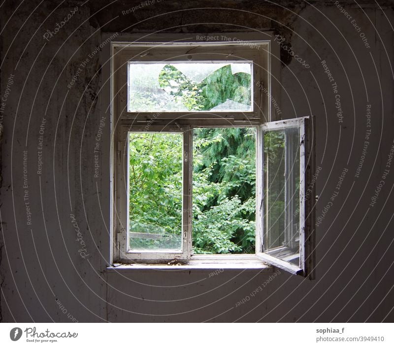 open window in an old abandoned house, lost place breeze breath freedom air look outside view frame green glass time inside white old window looking out window