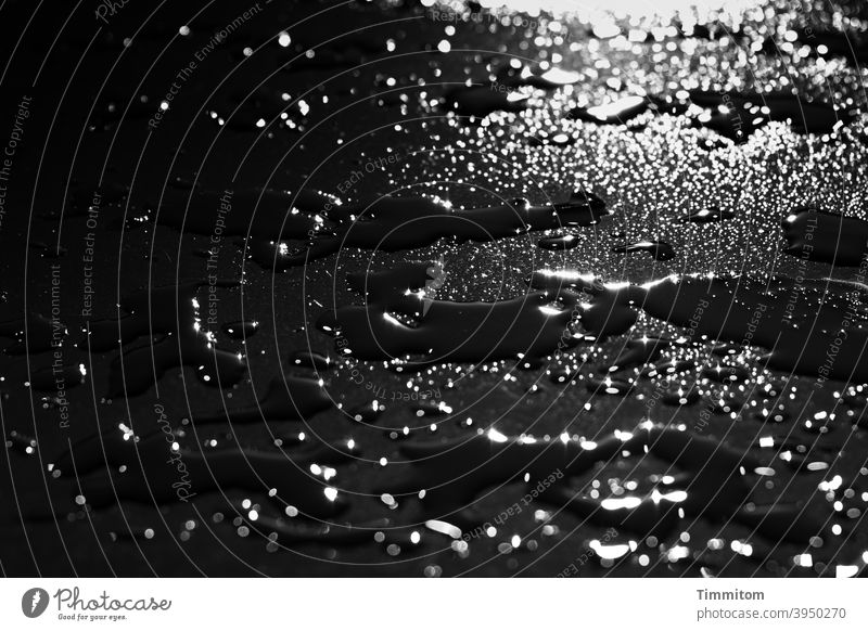 Rainwater on table surface Table Water Wet Surface Drop Surface of water Glittering Black Dark Light Drops of water Reflection Detail Black & white photo