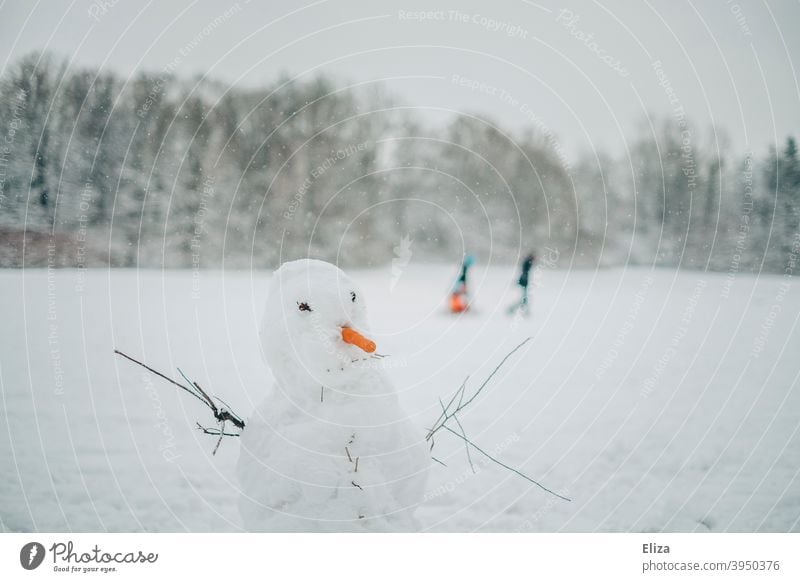 A snowman in a winter landscape Snowman White Winter carrot Landscape Snowscape Winter's day