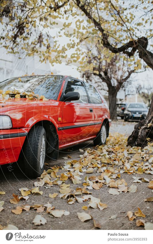 Red car with Yellow leaves Autumn fall Winter Car autumn automobile Vintage car Transport Autumn leaves Motoring road Deserted Leaf Colour photo Exterior shot