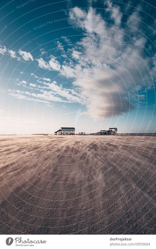 Noon in San Peter-Ording at the beach with poison stalls IX Wide angle Panorama (View) Long shot Worm's-eye view Deep depth of field Sunrise Sunlight