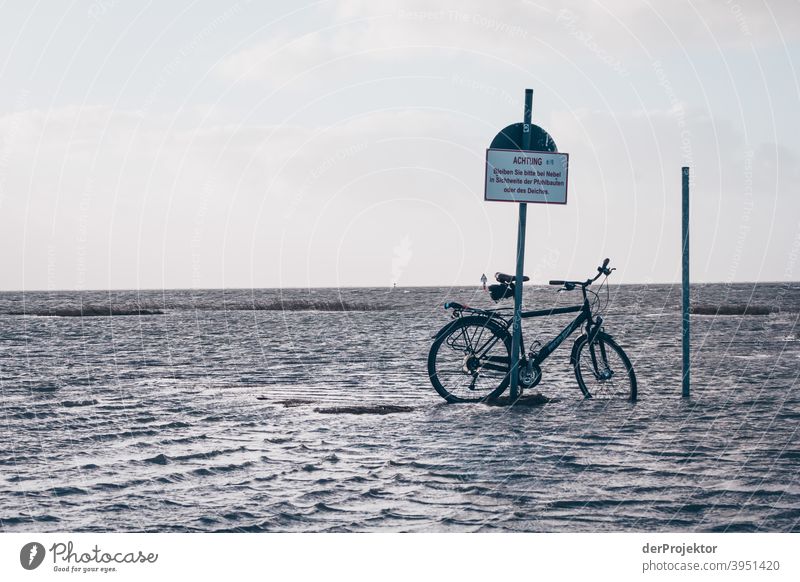 Sign with inscription: "Attention" and wheel in the water in Sankt Peter-Ording Panorama (View) Long shot Central perspective Deep depth of field Sunset Sunbeam
