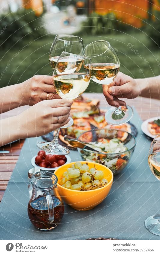 Friends making toast during summer picnic outdoor dinner in a home garden backyard beverage celebration dish drink eating family feast food friends fun