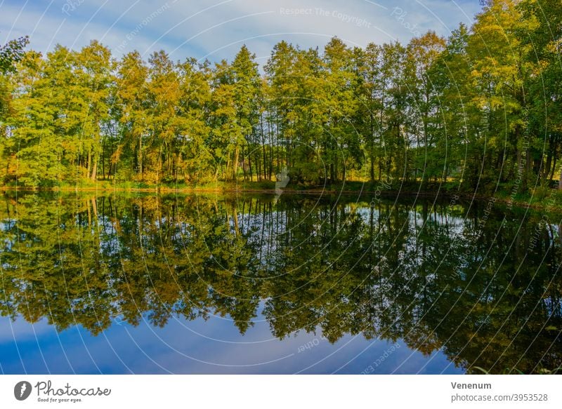 Small lake in autumn small lake lakes water sky cloud clouds shore sea shore reflection water reflection trees nature Germany outside Outdoor color colorful