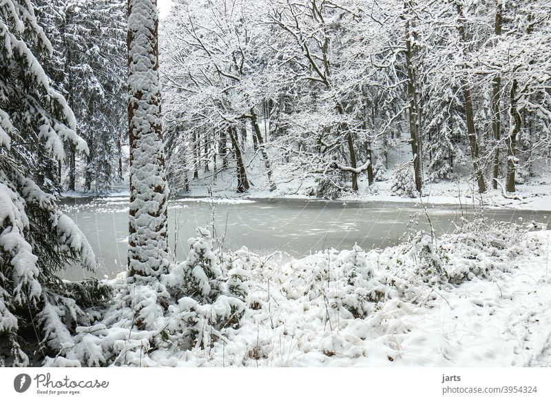 Idyllic forest pond in winter Winter frozen Forest Snow Cold Ice spessart Frost Nature Tree Exterior shot White Deserted Landscape Calm Loneliness naturally