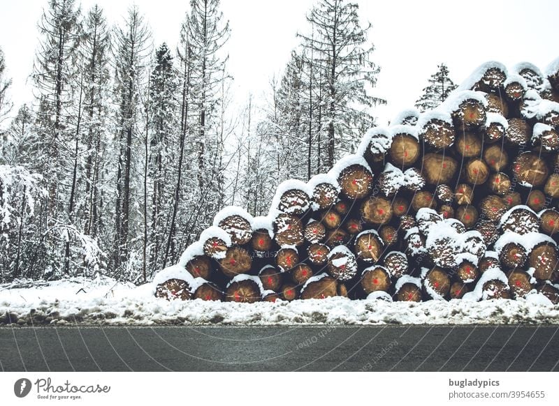 Trees vertically and horizontally in the snow trees Tree trunk tree trunks Snow Winter Firewood Fuel cord cubic metre Wood Forest Stack of wood Forestry Log