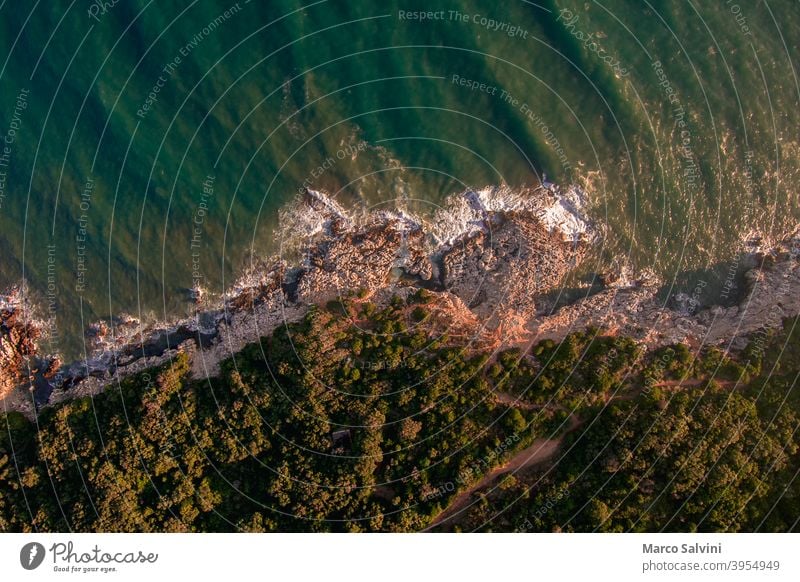 Drone view of coast with cliffs, rocks and trees Cliff sea waves Ocean Waves Coast Beach Rock Nature Aerial photograph droneperspective landscape ocean water