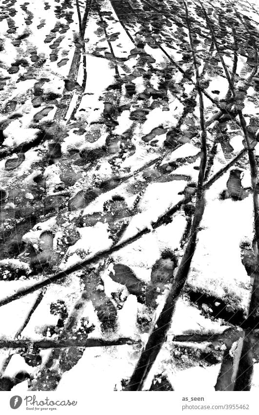 Tracks in the snow Snow footprints Sledge track tyre track Winter Cold White Exterior shot Deserted Ice Frost Day Snow track Contrast Black & white photo