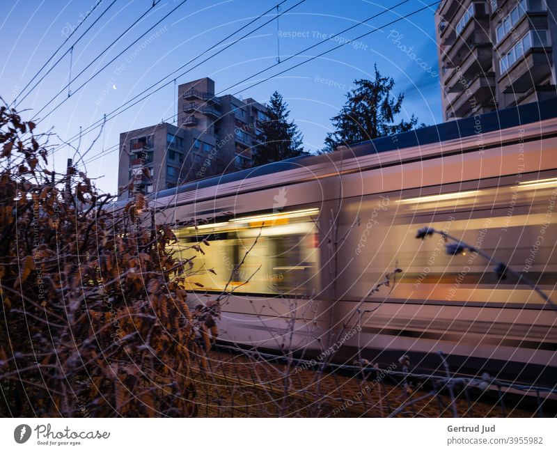 Passing tram at dawn Landscape Nature Winter Exterior shot Environment Cold Subdued colour Movement motion blur Road traffic Tram Moon blue hour Morning Dawn