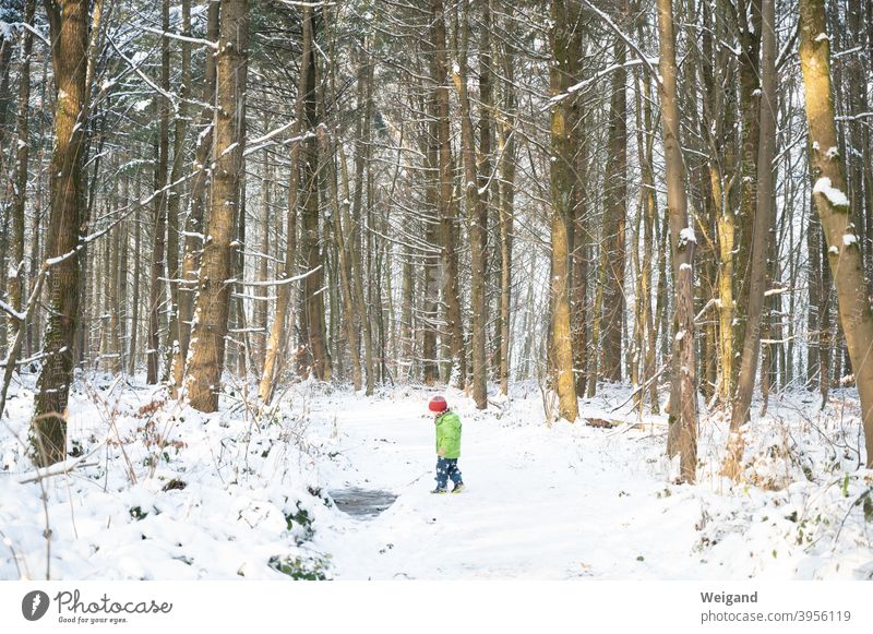 Child in winter in the forest Forest Infancy Kindergarten Winter Snow Cold To go for a walk Ice Discover hike