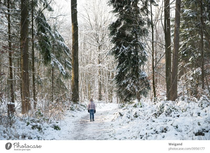 Child in winter forest Girl Winter Forest Winter forest Snow Cold To go for a walk Hiking explore Infancy Frost on one's own Winter vacation Winter mood Climate