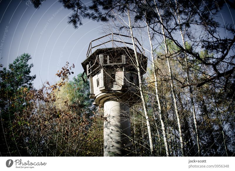 A watchtower stands in the woods All still and silent Forest Tree Nature lost places Autumn Decline Architecture Past Ruin Historic Derelict Concealed covert