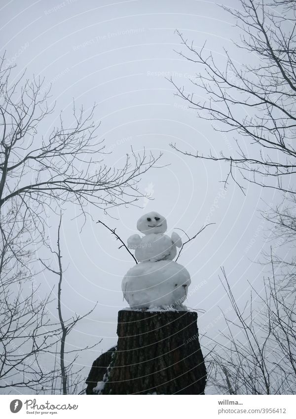 the merry little snowman Snowman Winter cheerful Tree stump Cold Good mood winter joy Branchage Colour photo