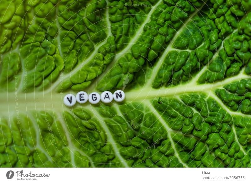 A lettuce leaf with the word Vegan on it vegan Vegan diet Lettuce Green salubriously veganism authored Word Healthy Eating Salad leaf Food Vegetable