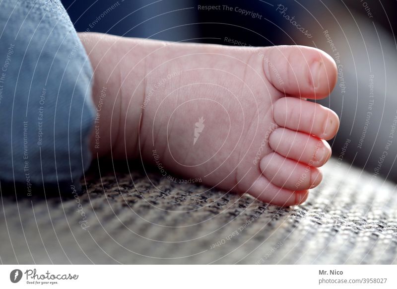 everybody starts out small Toes Baby Feet Newborn Barefoot Child Skin Diminutive Small infant baby foot Delicate Offspring Toddler newborn baby baby feet